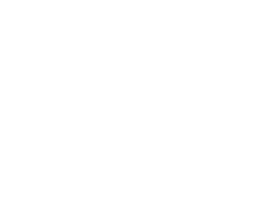 category icon